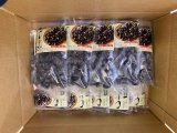 十三湖産大和しじみセット