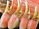 ズワイガニ爪　約700g