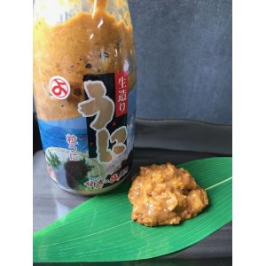 画像: 冷凍塩うに（瓶）　140g